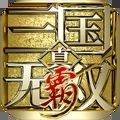 真三国无双手游日服官网版