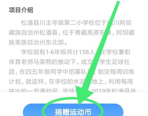 支付宝捐球场怎么完成？支付宝捐球场有什么好处？图片3