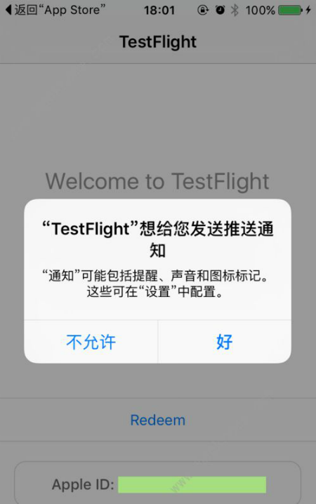 testflight2020版图片2