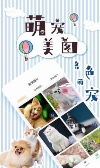 人猫翻译交流器图1