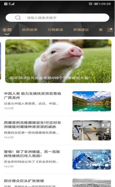 金猪数据app官方版图3