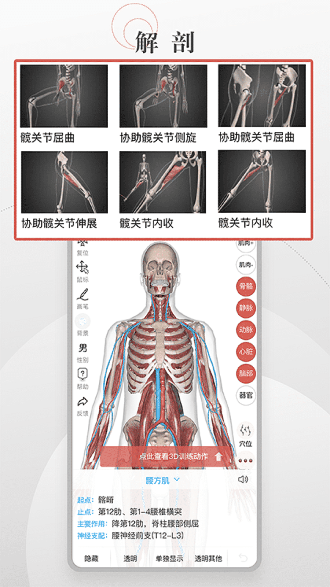 3D运动健康app图2