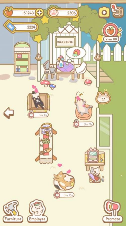 猫咪Spa游戏安卓版图1