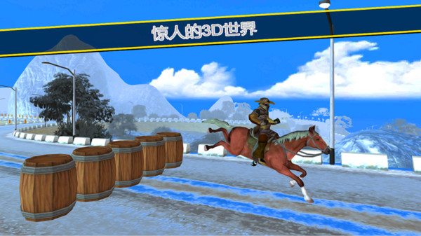 骑马模拟器3D游戏安卓手机版图3
