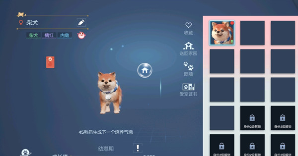 龙族幻想育宠达人新身份怎么玩 育宠达人身份玩法介绍图片4