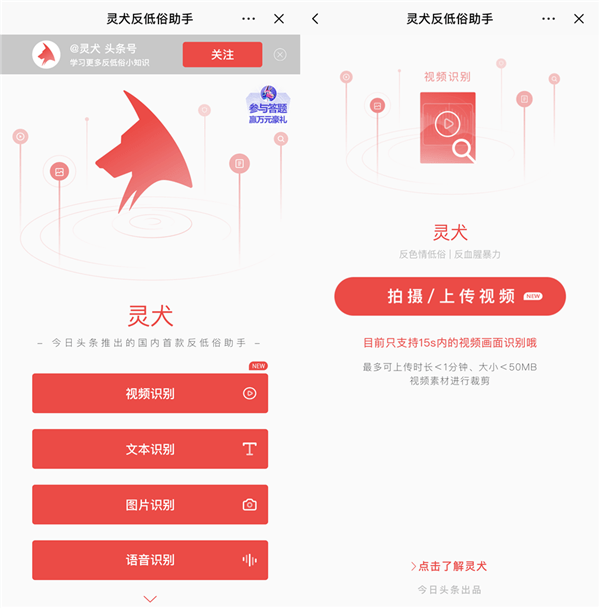 今日头条灵犬短视频反低俗功能怎么样 灵犬短视频识别功能介绍图片2