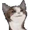 popcat什么意思 popcat表情包一览图片3