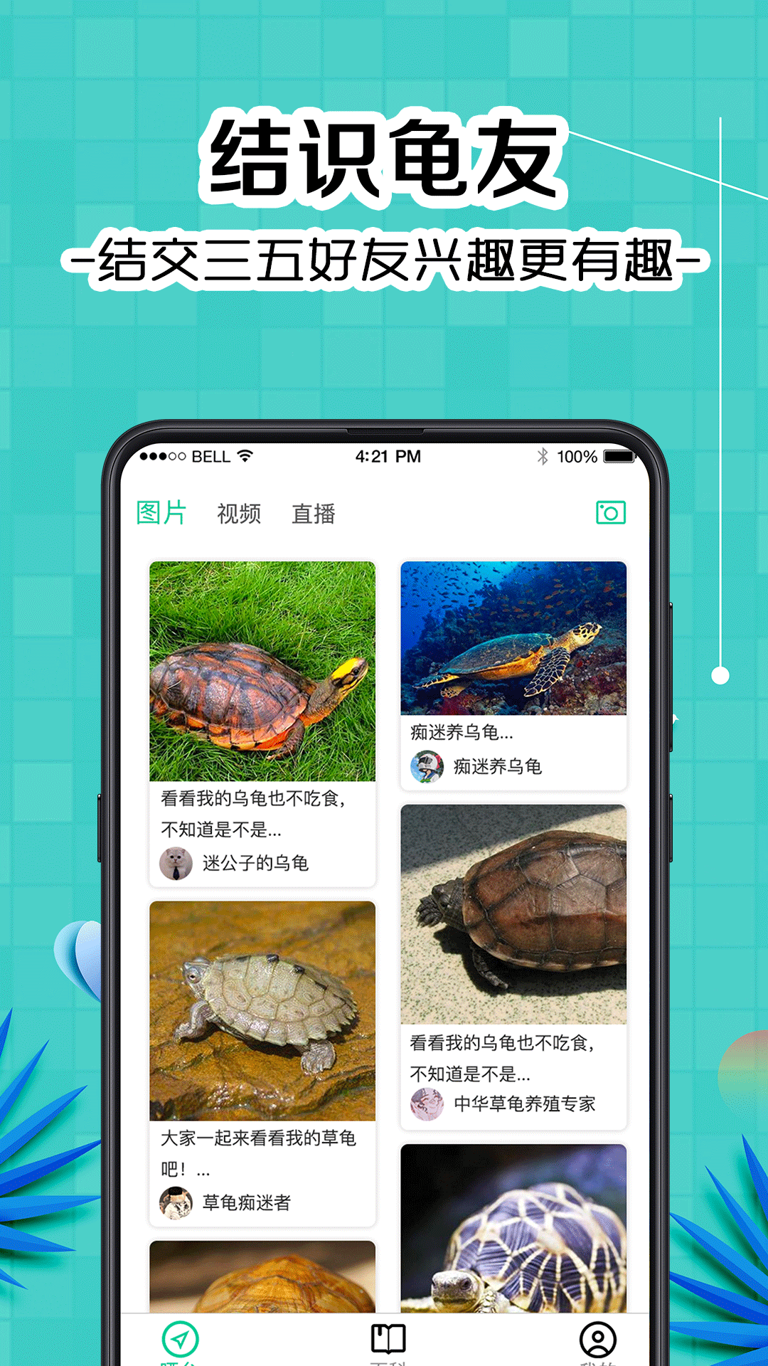 龟友宠物圈app官方版图2