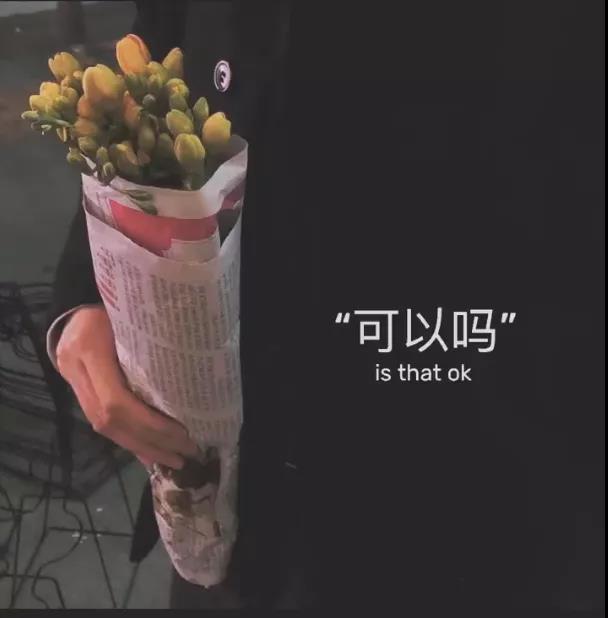 慢慢来会好的你又不差图片图3