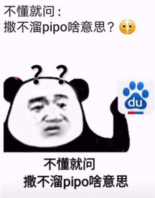 撒不溜pipo是什么梗？撒不溜pipo是什么意思？图片1