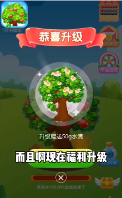 快乐果园圣诞版app图2