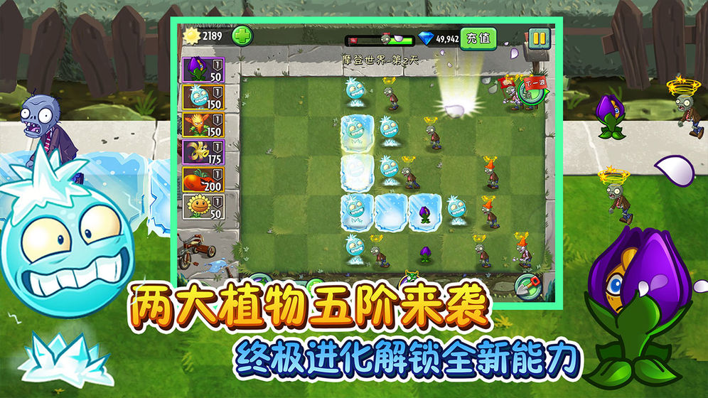 植物大战僵尸2超z联赛图3