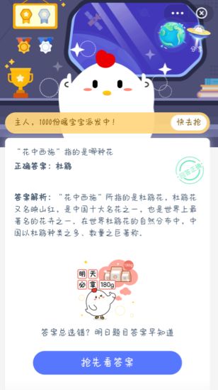 花中西施蚂蚁庄园 花中西施指的是什么花图片2
