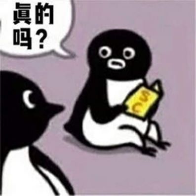 suica企鹅表情包图片1