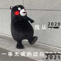 2020把你交给了2021图片