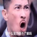 渣渣辉我什么实力你不了解吗表情包