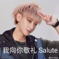 黄子韬我向你敬礼salute表情包