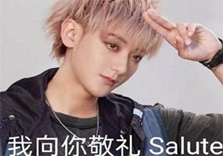 我向你敬礼salute什么意思 我向你敬礼salute表情包大全