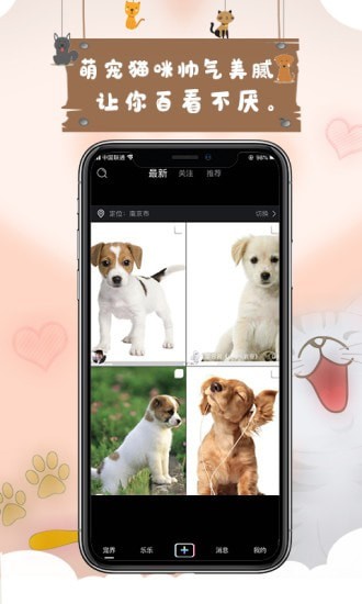 宠艾短视频app官方版图2