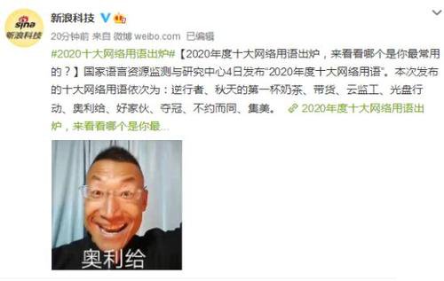 2020年十大网络用语都是什么意思？2020年十大网络用语有哪些？