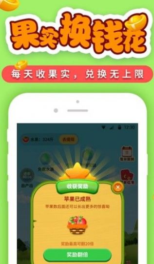 种树果园红包版图3