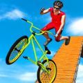 BMX自行车坡道特技版