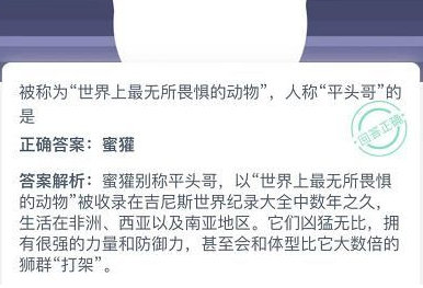 人称平头哥的是什么动物？蚂蚁庄园12月8日最新答案分享