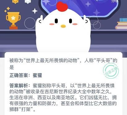 人称平头哥的是什么动物？蚂蚁庄园12月8日最新答案分享图片2