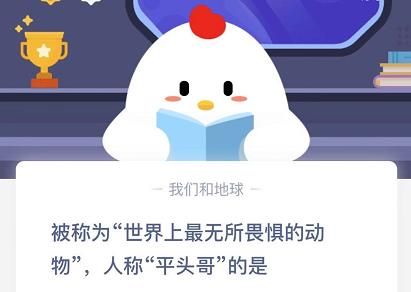 人称平头哥的是什么动物？蚂蚁庄园12月8日最新答案分享图片1