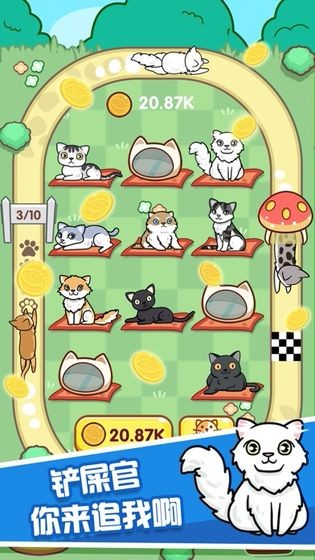 爱情公寓云养猫app图3