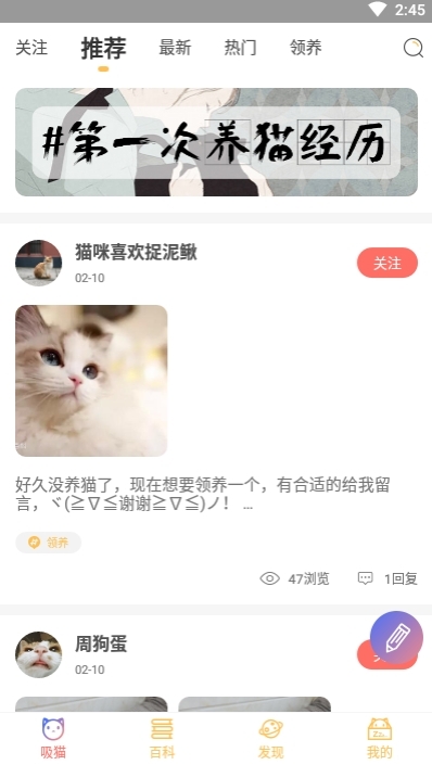 萌翻养猫app手机版图2