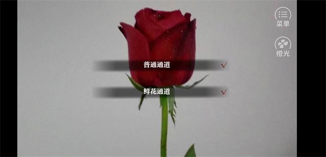 虐恋深情鲜花版图1