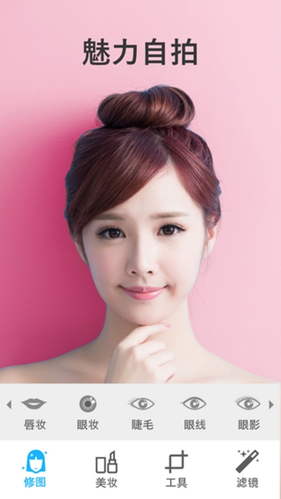 Selfix图1