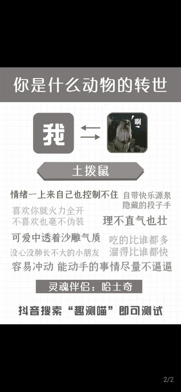 抖音你是什么动物转世测试app最新版图1