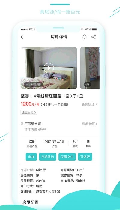 黑猫租房图2
