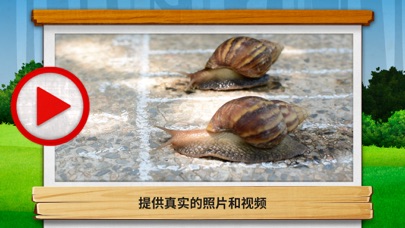 虫虫的世界2游戏图片1