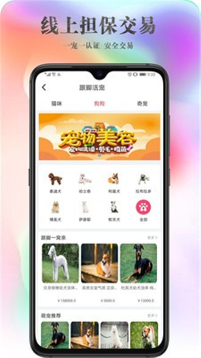 跟脚网app图片1