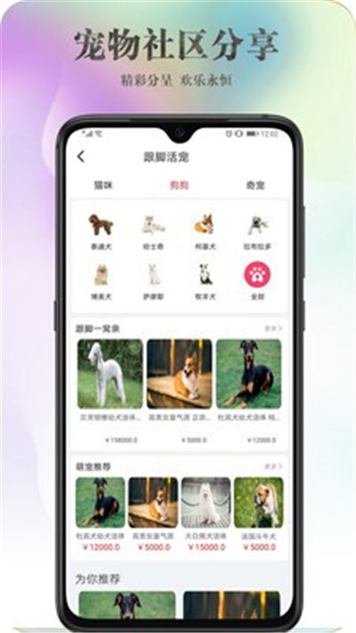 跟脚网app图1