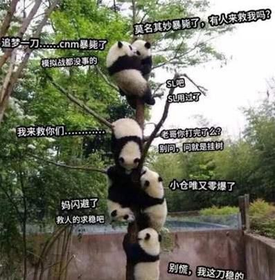 公主连结公会战5王阵容推荐 公会战5王打法攻略图片3