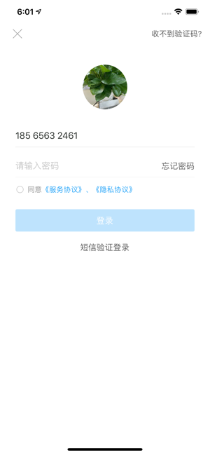 桐行通app图片2