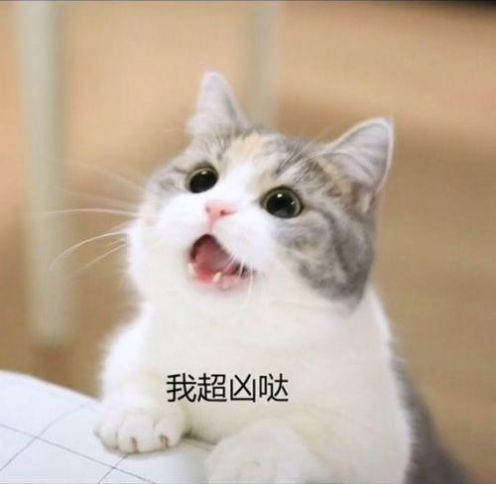 抖音三只猫咪点头gif动图图3