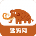 猛犸网app官方版