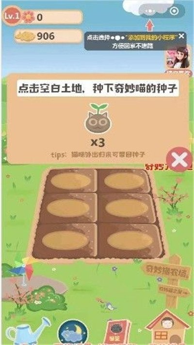 奇妙猫之家红包版游戏官方版图1