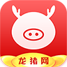 龙猪网官方app最新版