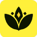 荷花热点app手机版
