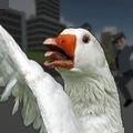 捣蛋鹅2游戏中文版
