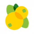 琵琶资讯app官方安卓版