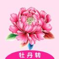 牡丹转app官方版