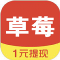 草莓看点app官方版