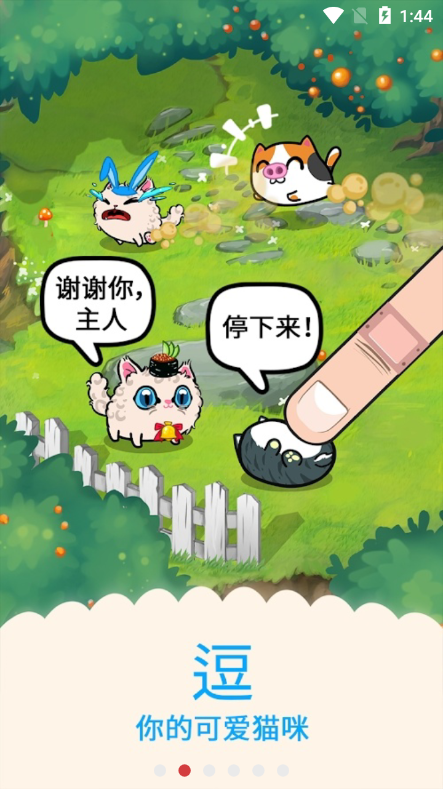 花样猫版图2